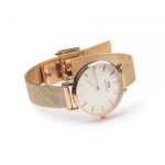 dong-ho-daniel-wellington-dw00100219-nu-pin-day-inox-1