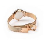 dong-ho-daniel-wellington-dw00100219-nu-pin-day-inox-1