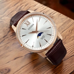 Đồng hồ nam Citizen MoonPhase AK5004-05A